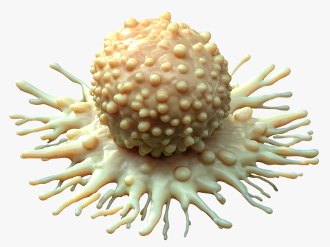 Cancer Cell Tumor Modelo 3D