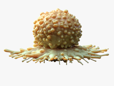 Cancer Cell Tumor 3D-Modell