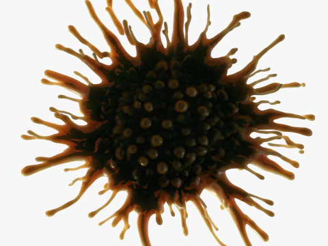 Cancer Cell Tumor 3D Model