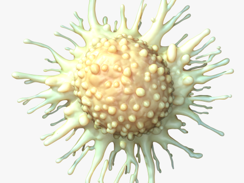 Cancer Cell Tumor 3D-Modell