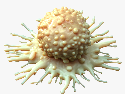 Cancer Cell Tumor 3D-Modell