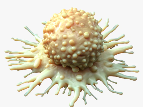 Cancer Cell Tumor 3D Model