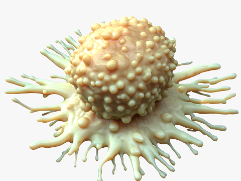 Cancer Cell Tumor 3D-Modell