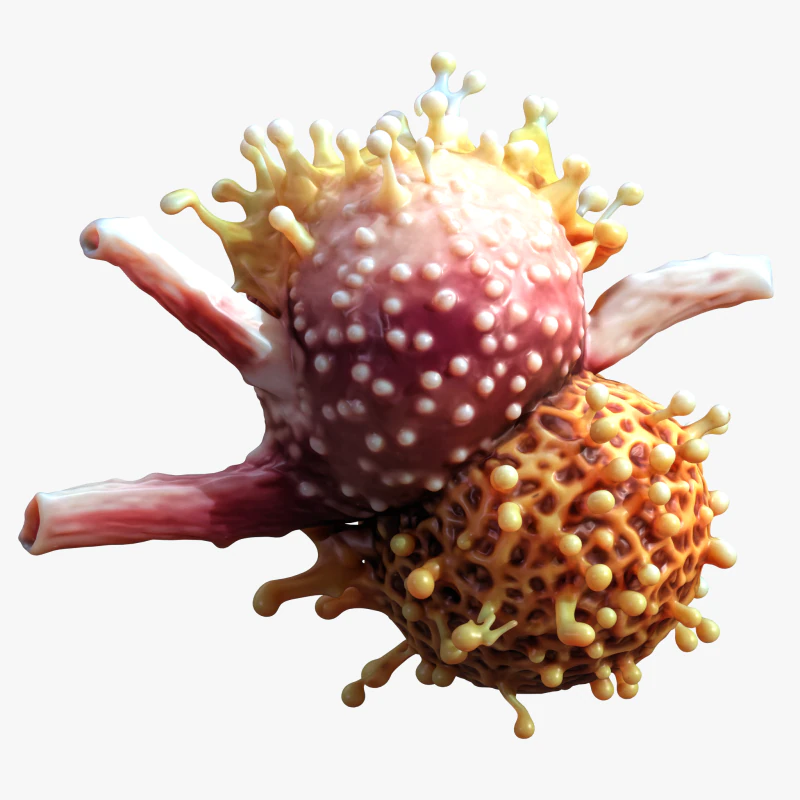 Cancer Cell Tumor 3D Model .c4d .max .obj .3ds .fbx .stl .blend