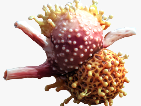 Cancer Cell Tumor Modelo 3D