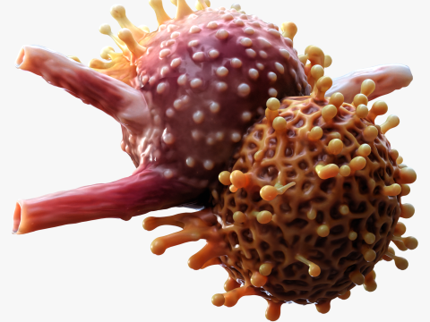 Cancer Cell Tumor Modelo 3D