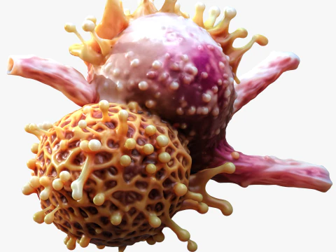 Cancer Cell Tumor 3D Model