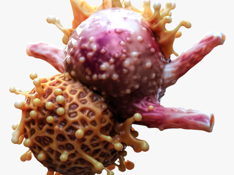 Cancer Cell Tumor Modelo 3D