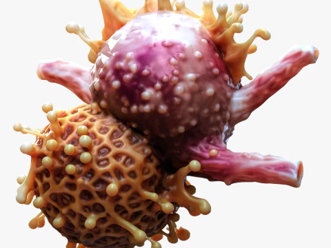 Cancer Cell Tumor 3D Model