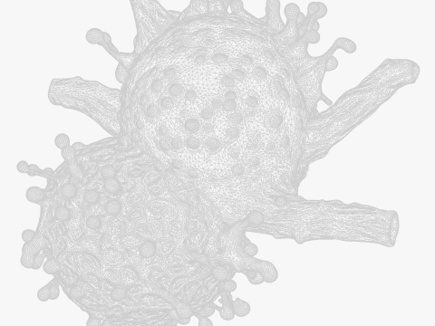Cancer Cell Tumor Modelo 3D