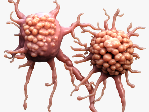 Cancer Cell Tumor Modelo 3D