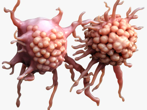 Cancer Cell Tumor 3D Model