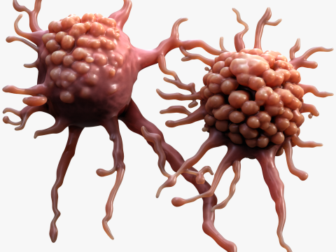 Cancer Cell Tumor Modèle 3D