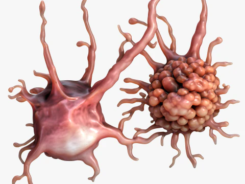 Cancer Cell Tumor 3D Model