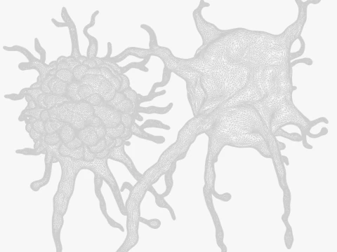 Cancer Cell Tumor 3D Model