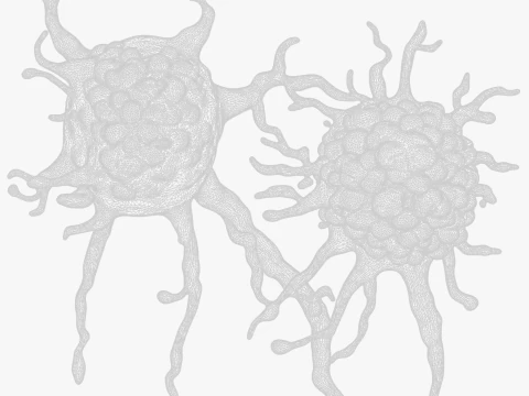 Cancer Cell Tumor 3D Model