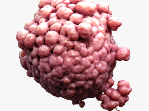 Cancer Cell Tumor 3D 模型