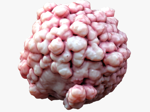 Cancer Cell Tumor Modello 3D