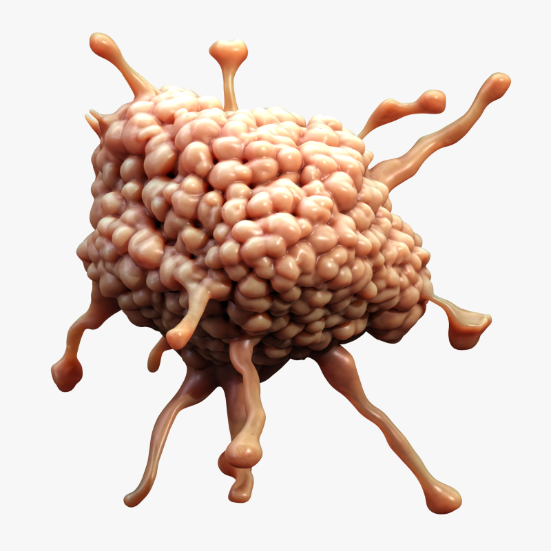 Cancer Cell Tumor Model 3D .c4d .max .obj .3ds .fbx .stl .blend