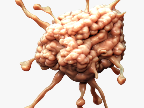 Cancer Cell Tumor Model 3D