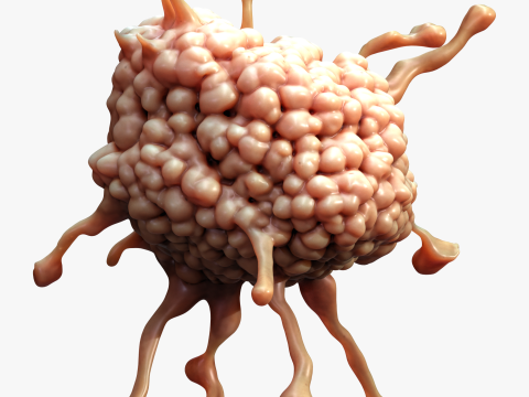 Cancer Cell Tumor Model 3D