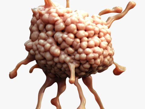 Cancer Cell Tumor 3D Model