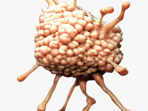 Cancer Cell Tumor 3D Model