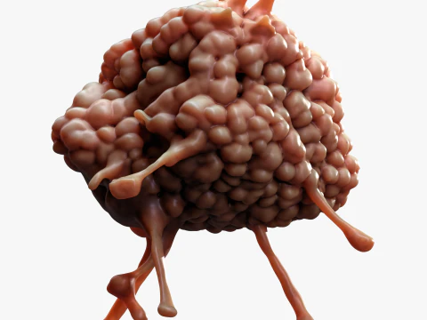 Cancer Cell Tumor 3D Model
