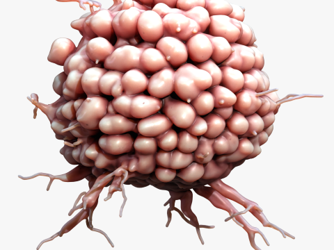 Cancer Cell Tumor 3D 模型