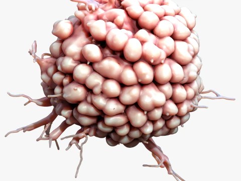 Cancer Cell Tumor 3D Model