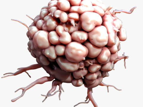 Cancer Cell Tumor 3D Model