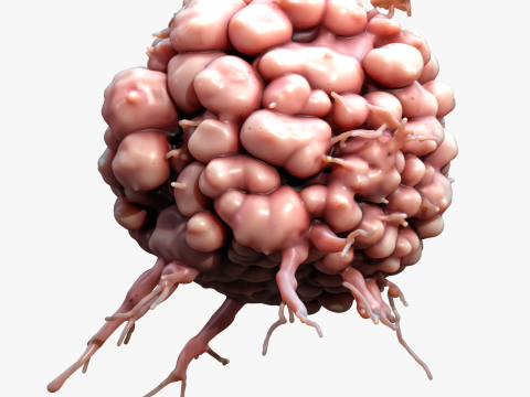 Cancer Cell Tumor 3D Model