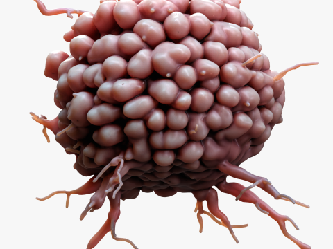 Cancer Cell Tumor 3D Model
