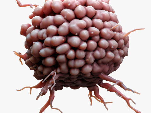 Cancer Cell Tumor 3D Model