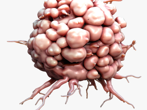 Cancer Cell Tumor 3D Model