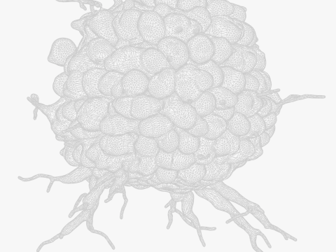 Cancer Cell Tumor 3D Model