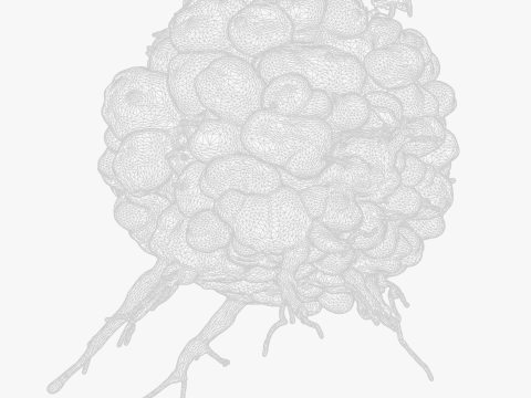 Cancer Cell Tumor 3D Model