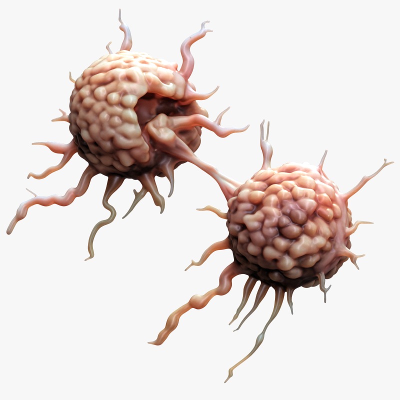 Cancer Cell Tumor Modello 3D .c4d .max .obj .3ds .fbx .stl .blend