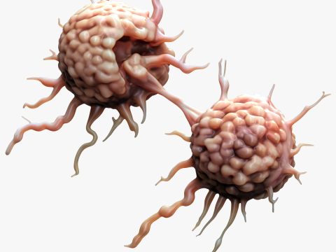 Cancer Cell Tumor 3D 模型