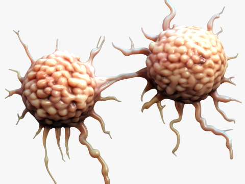 Cancer Cell Tumor Modello 3D