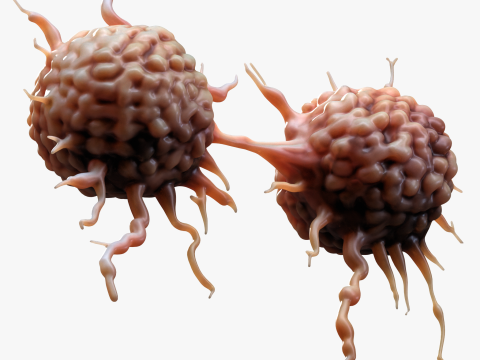 Cancer Cell Tumor Modello 3D