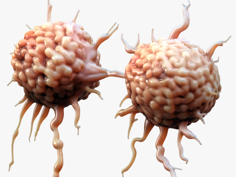 Cancer Cell Tumor Modello 3D
