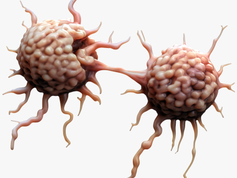 Cancer Cell Tumor Modello 3D