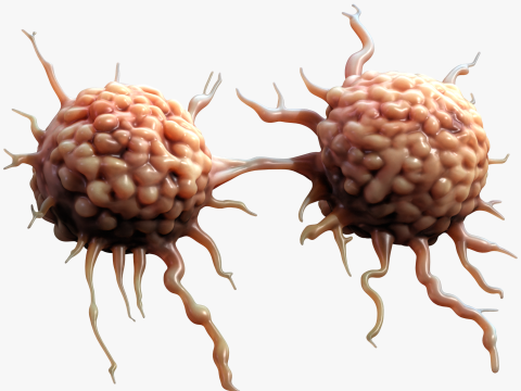 Cancer Cell Tumor Modello 3D