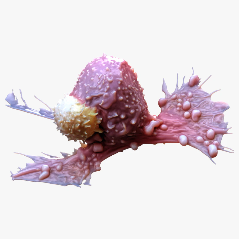 Cancer Cell Tumor 3D Model .c4d .max .obj .3ds .fbx .stl .blend 