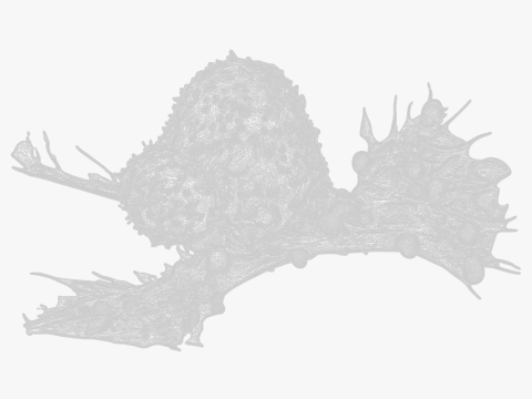 Cancer Cell Tumor 3D Model