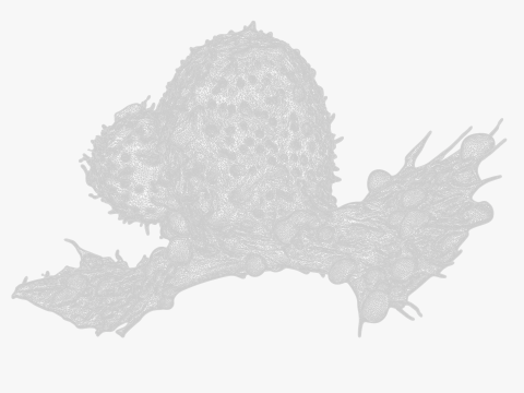 Cancer Cell Tumor 3D Model