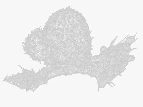 Cancer Cell Tumor 3D Model