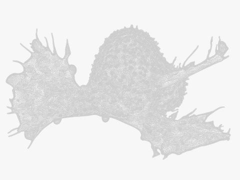 Cancer Cell Tumor 3D Model