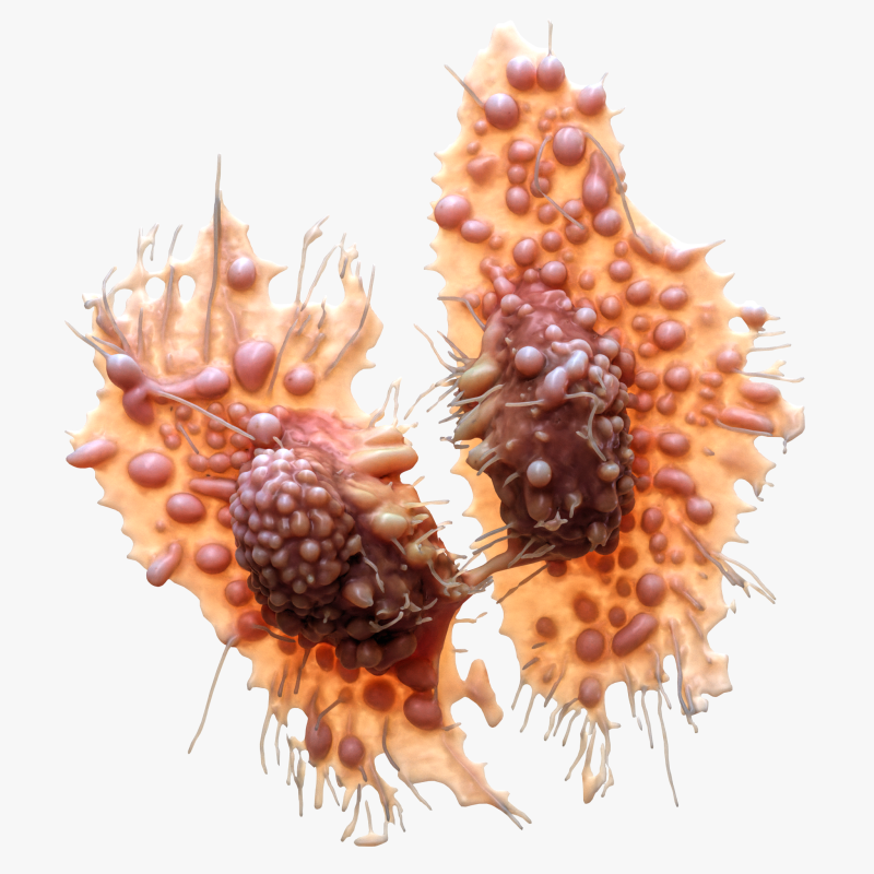Cancer Cell Tumor Modello 3D .c4d .max .obj .3ds .fbx .stl .blend